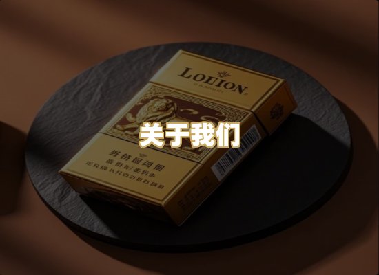 关于我们